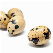 鹌鹑蛋